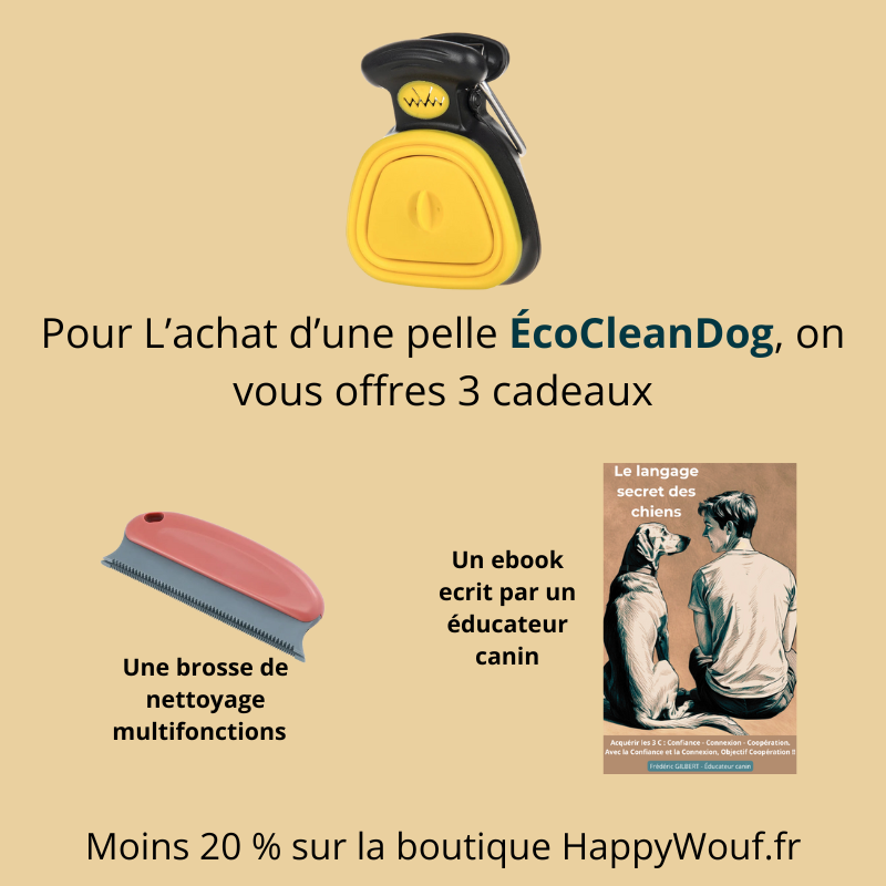 Pack EcoCleanDog Jaune