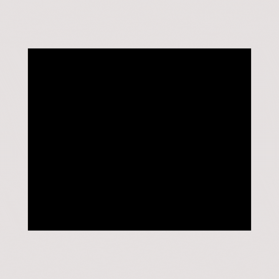 Pack EcoCleanDog Jaune